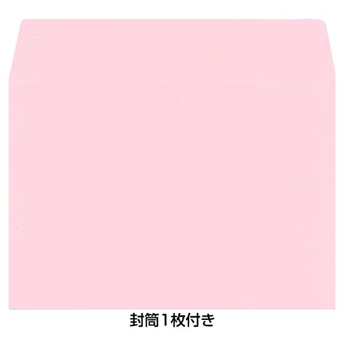 Sanrio Graduation Admission Message Cards with Gold Line Bear and Cherry Blossom Trees- Japan Figure Store - #1 Bring To You The Best Japanese Goods