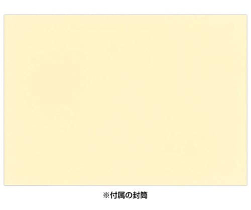 Sanrio School Entrance & Graduation Message Cards - Greeting Cards for Students- Japan Figure Store - #1 Bring To You The Best Japanese Goods