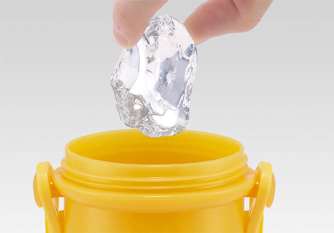 Skater 480ml Disney Belle Water Bottle for Kids Ag+ Antibacterial Made in Japan- Japan Figure Store - #1 Bring To You The Best Japanese Goods