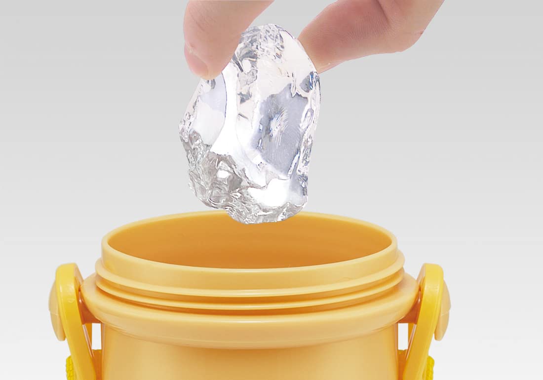 Skater Sanrio Girls Antibacterial Plastic Water Bottle 480ml Pompompurin Kirakira Made In Japan- Japan Figure Store - #1 Bring To You The Best Japanese Goods