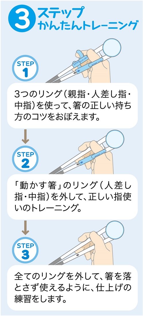 Skater Right-Handed 14cm Training Chopsticks for Ages 2-7 Inai Inai Baa Square Tips - ADXT1-A- Japan Figure Store - #1 Bring To You The Best Japanese Goods