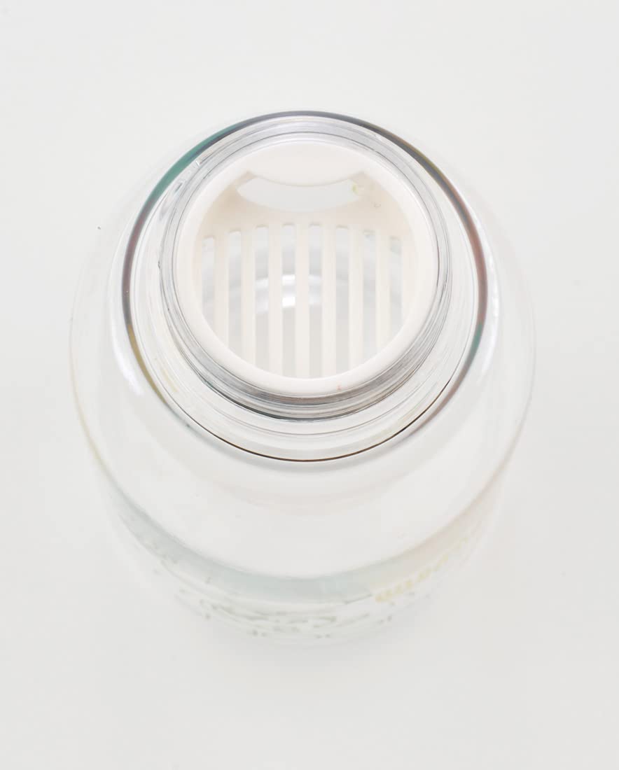 Skater Awesome Peanuts Snoopy 500ml Water Bottle with Tea Strainer- Japan Figure Store - #1 Bring To You The Best Japanese Goods