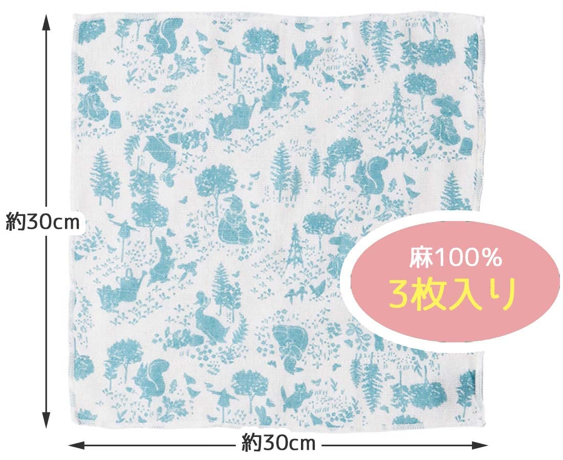 Skater Peter Rabbit Kaya Fabric Dishcloth 30x30cm 3-Pack- Japan Figure Store - #1 Bring To You The Best Japanese Goods