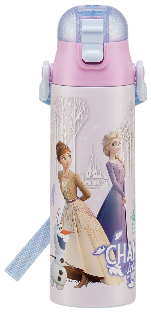 Skater Disney Frozen 21 Stainless Steel Sports Water Bottle 580ml Direct Drinking - Sdc6N- Japan Figure Store - #1 Bring To You The Best Japanese Goods