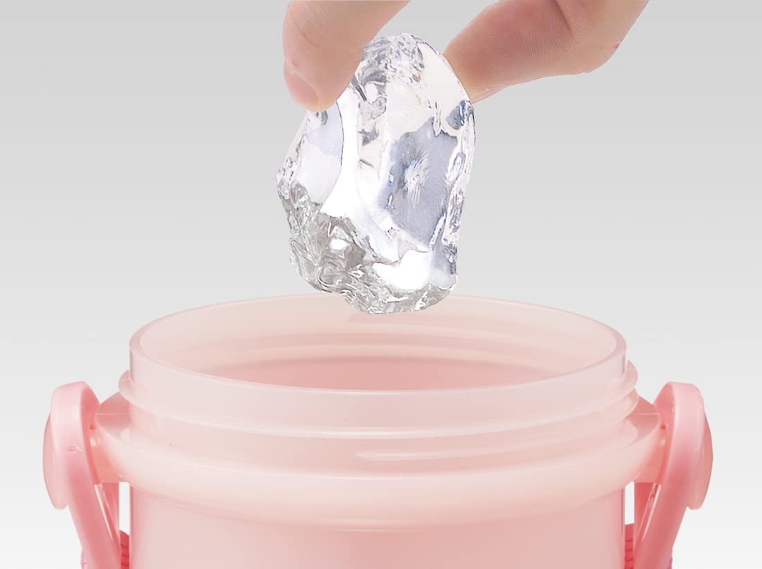 Skater Princess 23 Antibacterial Kids Water Bottle 480ml Made in Japan- Japan Figure Store - #1 Bring To You The Best Japanese Goods