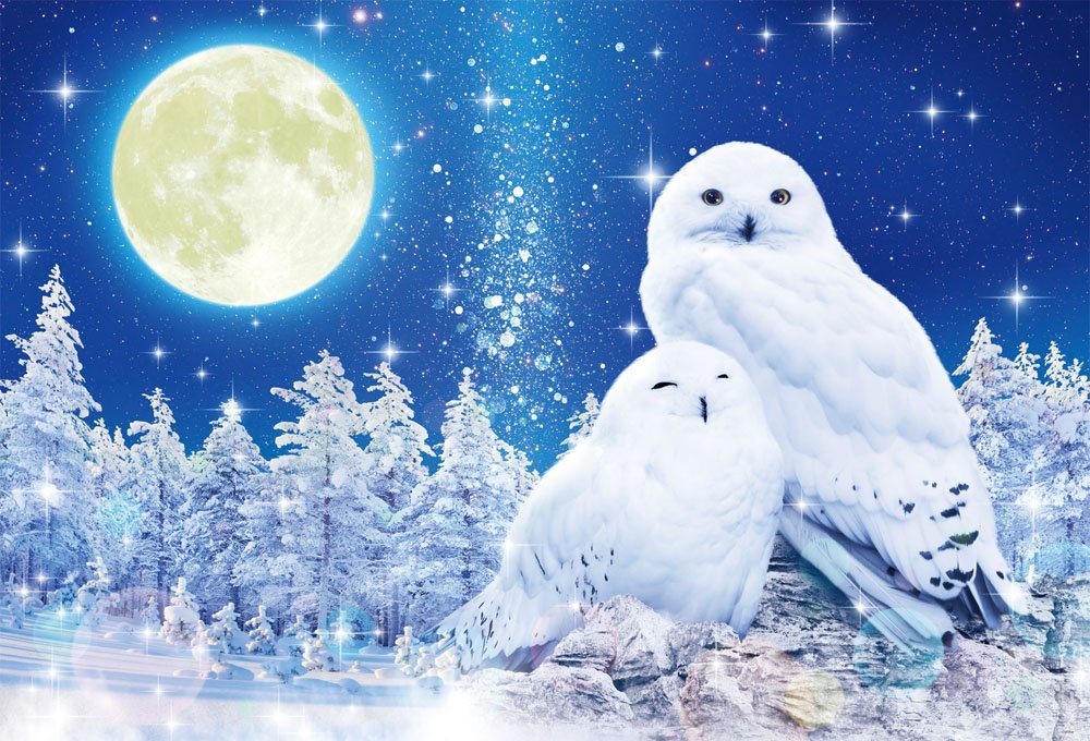 BEVERLY Jigsaw Puzzle 91-129 Glows In The Dark Wilfar Lucky White Owl 1000 Pieces- Japan Figure Store - #1 Bring To You The Best Japanese Goods