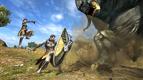 Capcom Dragons Dogma Online Limited Edition Ps4 - New Japan Figure 4976219064804 5