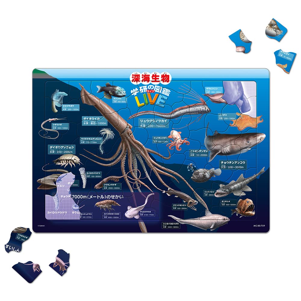 TENYO Jigsaw Puzzle Deep Sea Creatures W/ Japanese Names 80 Pieces Child Puzzle- Japan Figure Store - #1 Bring To You The Best Japanese Goods