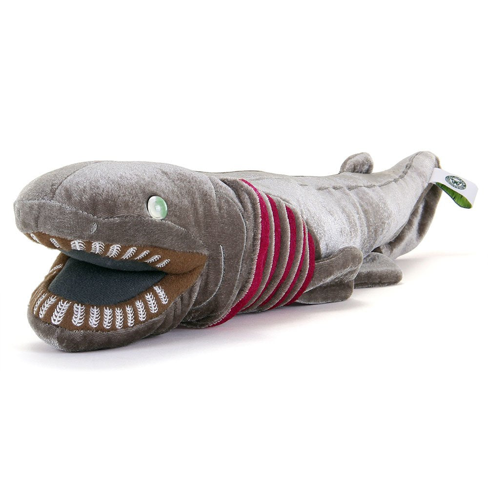 Colorata Loveka Frilled Shark Plush Toy 50x12x8.5cm- Japan Figure Store - #1 Bring To You The Best Japanese Goods