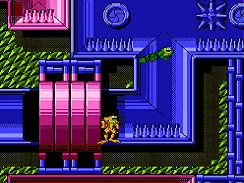 Columbus Circle Battletoads For Famicom Fc - Pre Order Japan Figure 4582286323593 4