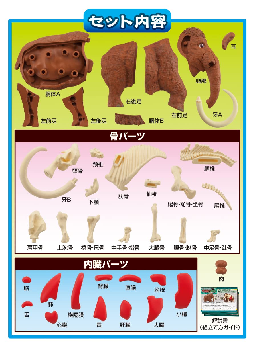 Megahouse Mammoth Kaitai Puzzle Series Buy Japanese Self-Assembly Animal Puzzle- Japan Figure Store - #1 Bring To You The Best Japanese Goods