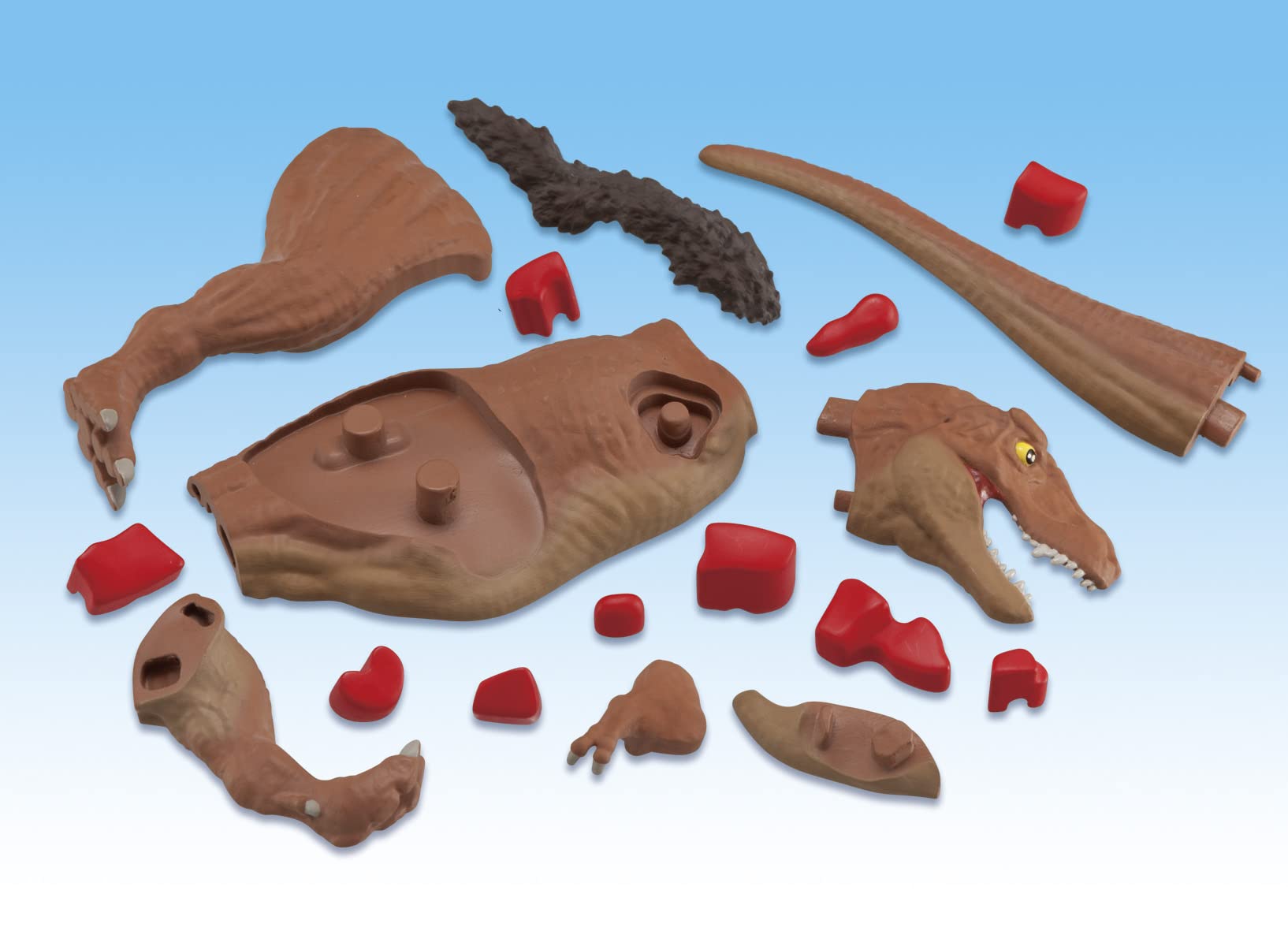 Megahouse Tyrannosaurus Kaitai Puzzle Series Japanese Self-Assembly Puzzle- Japan Figure Store - #1 Bring To You The Best Japanese Goods