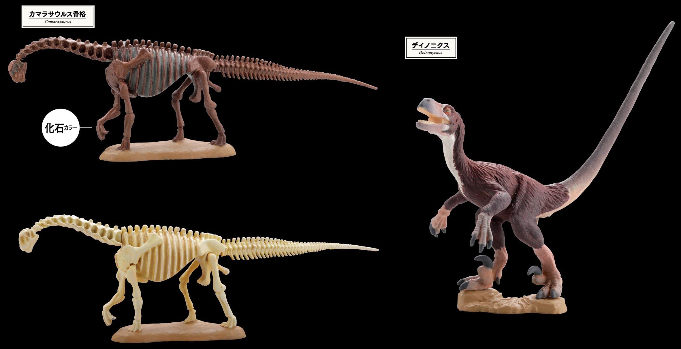 F-Toys Dinosaur Master Vol.3 10Pcs Box- Japan Figure Store - #1 Bring To You The Best Japanese Goods