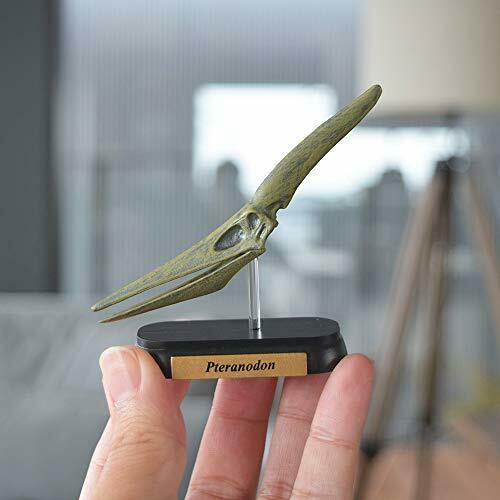 Dinosaur Pteranodon Skull Mini Model Fdw-509- Japan Figure Store - #1 Bring To You The Best Japanese Goods