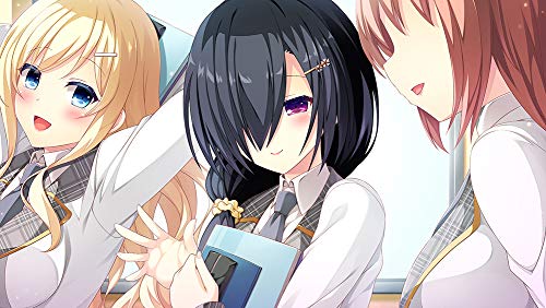 Entergram E School Life Playstation 4 Ps4 - New Japan Figure 4935066602867 6