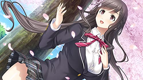 Entergram Full Kiss Ss For Nintendo Switch - New Japan Figure 4935066604021 1