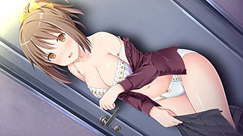 Entergram Parfait Remake For Nintendo Switch - New Japan Figure 4935066604144 5