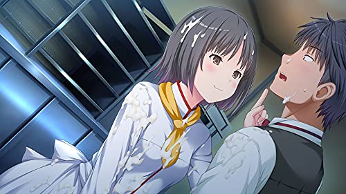 Entergram Parfait Remake For Sony Playstation Ps4 - New Japan Figure 4935066604113 5