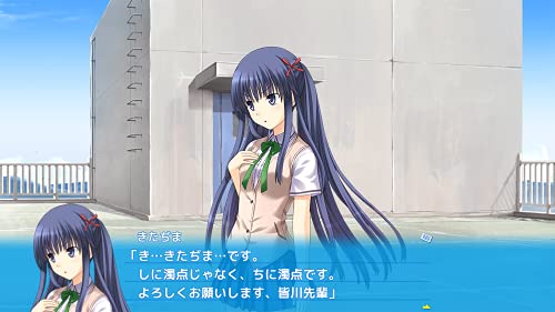 Entergram Saka Agari Hurricane Portable For Sony Playstation Ps4 - New Japan Figure 4935066603932 3