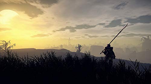 Exnoa Outward Playstation 4 Ps4 - New Japan Figure 4580544940391 5