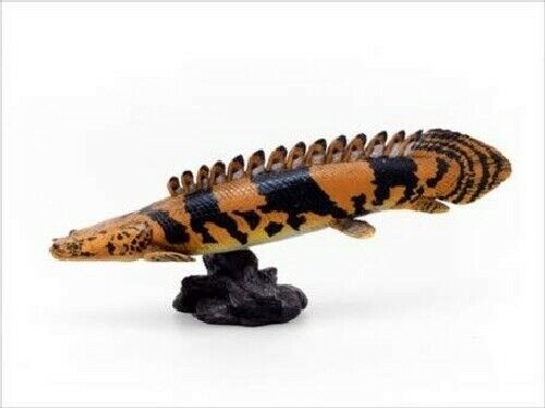 Favorite Febaritto Polypterus Endlicheri Endlicheri Software Model- Japan Figure Store - #1 Bring To You The Best Japanese Goods