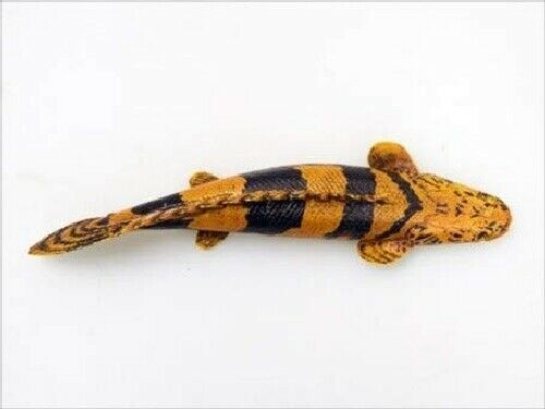Favorite Febaritto Polypterus Endlicheri Endlicheri Software Model- Japan Figure Store - #1 Bring To You The Best Japanese Goods