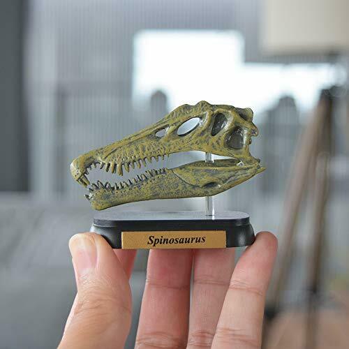 Favorite Spinosaurus Skull Dinosaur Mini Model Figure Designed By H.tokugawa- Japan Figure Store - #1 Bring To You The Best Japanese Goods