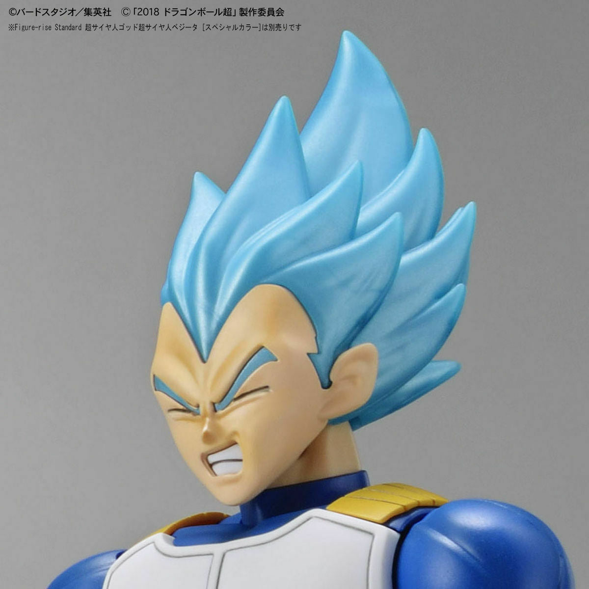 Figure-rise Standard Dragon Ball Super Saiyan Blory Full Power Model Kit Bandai- Japan Figure Store - #1 Bring To You The Best Japanese Goods