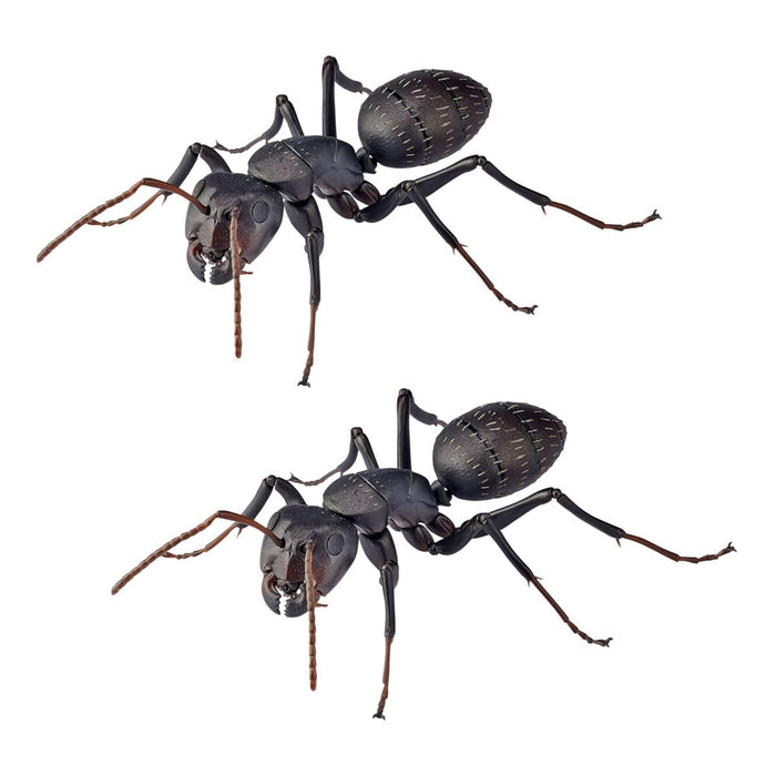 Kaiyodo Revo Geo Ant 115mm PVC ABS Figure- Japan Figure Store - #1 Bring To You The Best Japanese Goods