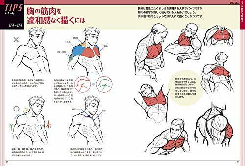 Miyuli's Illustration Improvement Tips Drawing For Character Illustration- Japan Figure Store - #1 Bring To You The Best Japanese Goods