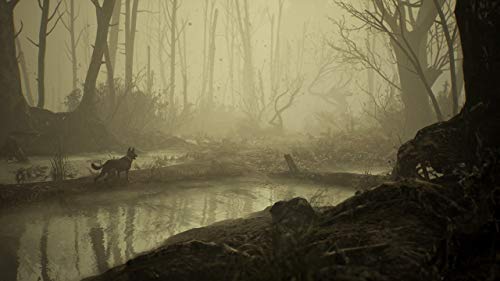 Na Publishing Blair Witch Playstation 4 Ps4 - New Japan Figure 4988635001073 5