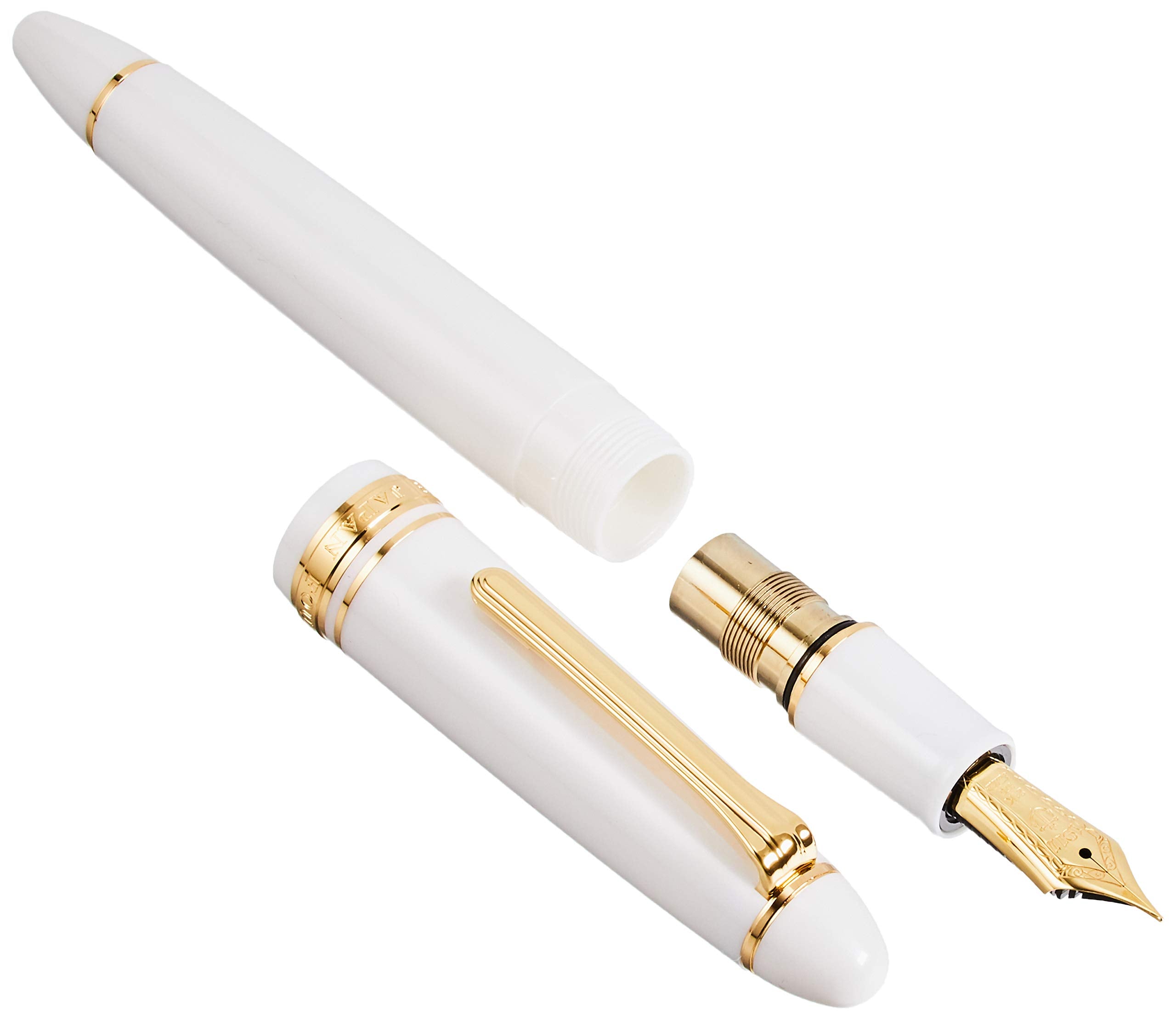 SAILOR Profit 21 Fountain Pen We Mf 11-2021-310- Japan Figure Store - #1 Bring To You The Best Japanese Goods
