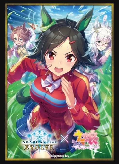 Shadowverse Evolve Official Sleeve Vol.50 Shadowverse Evolve Winning Ticket- Japan Figure Store - #1 Bring To You The Best Japanese Goods