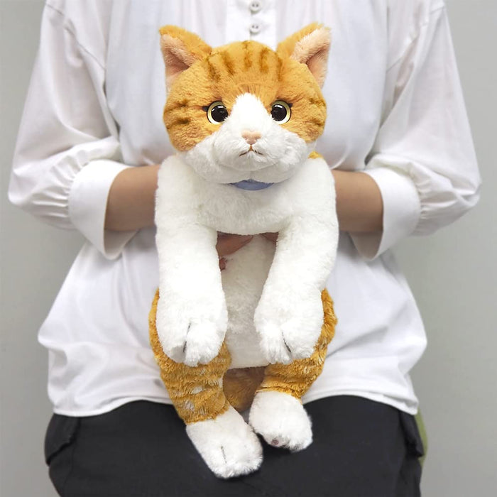 SUNLEMON Plush Doll Hiza Neko Chashiro White/Brown Cat Size M- Japan Figure Store - #1 Bring To You The Best Japanese Goods