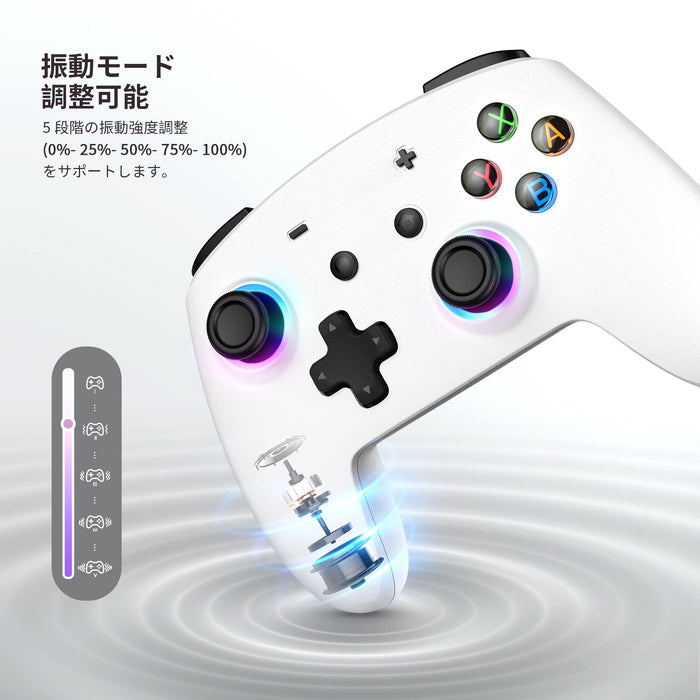 Echtpower Switch Controller: Bluetooth Double Vibration 6 Axis Gyro Continuous Fire Long Time Use Compatible With Switch/Switch Lite/Switch Oled/Windows/Android/Ios- Japan Figure Store - #1 Bring To You The Best Japanese Goods