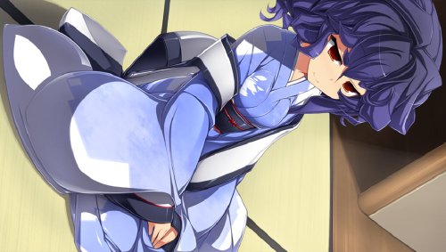 Systemsoft Sengoku Hime 4: Souha Hyakkei Hanamamoru Chikai Psvita Used