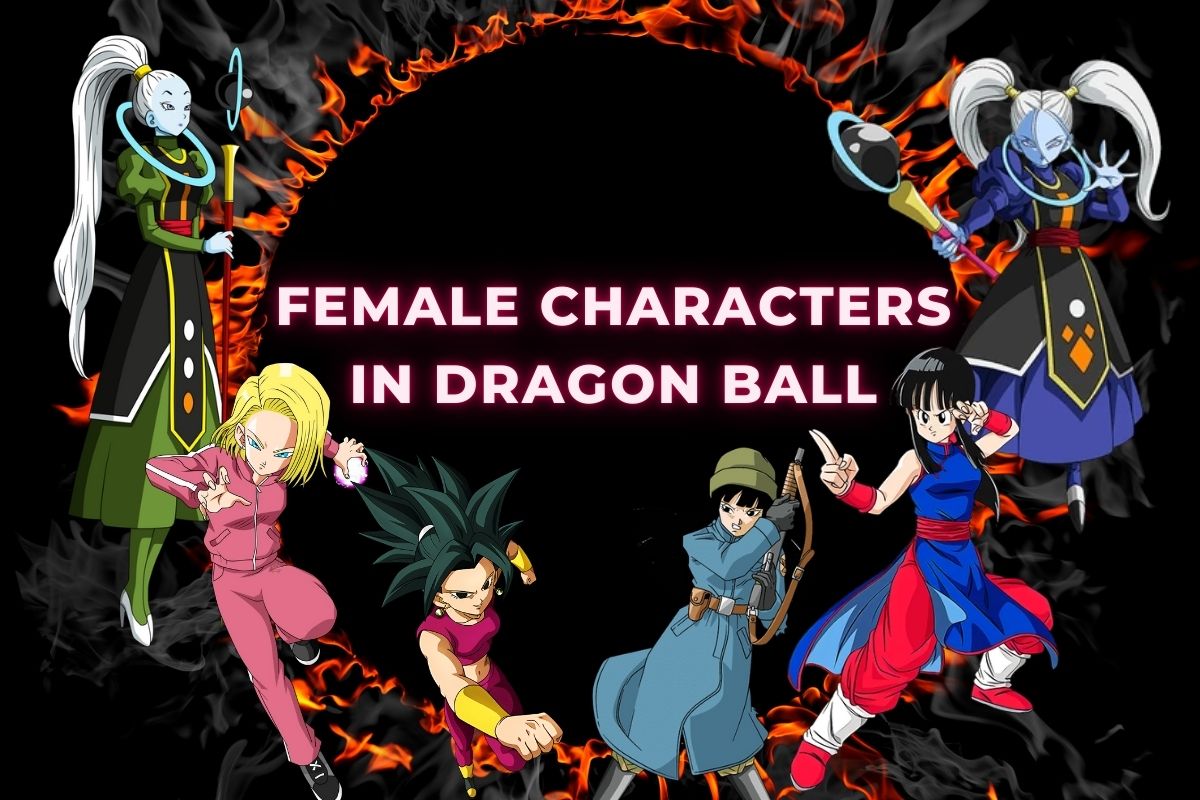 Top 10 Dragon Ball Female Characters, Ranked