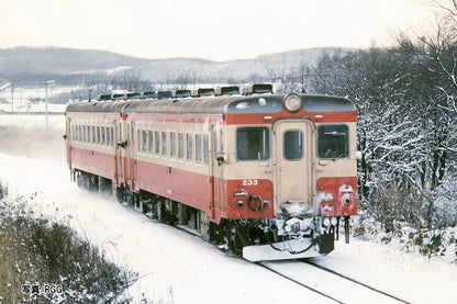 Tomix N Gauge Jnr Kiha 22 200 Type Early Type Set 98108 Railway Model Diesel Car- Japan Figure Store - #1 Bring To You The Best Japanese Goods