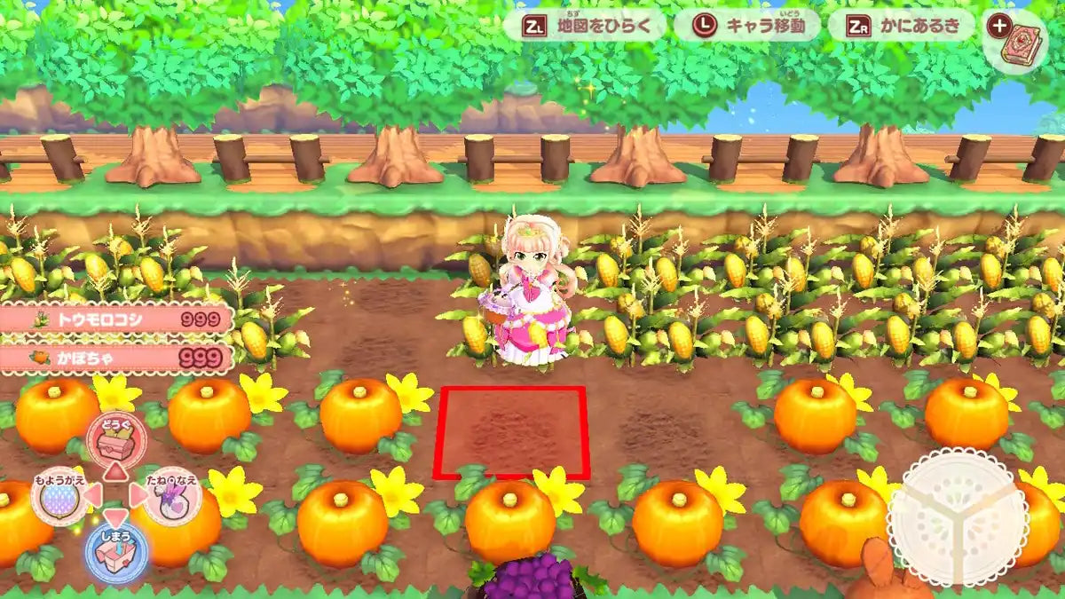 Pretty Princess Magical Garden Island Switch - Nippon Columbia Japan- Japan Figure Store - #1 Bring To You The Best Japanese Goods