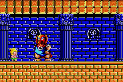 Sw Version Wonder Boy Ultimate Collection Special Pack- Japan Figure Store - #1 Bring To You The Best Japanese Goods