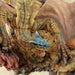 Capcom Figure Builder Monster Hunter Tiga Rex Reprint 2024 Release Model- Japan Figure Store - #1 Bring To You The Best Japanese Goods