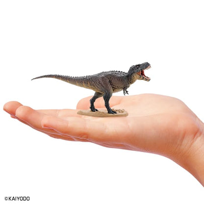 F-Toys Dinosaur Master 5 Figure Collection: Ultimate Prehistoric Collector Set- Japan Figure Store - #1 Bring To You The Best Japanese Goods