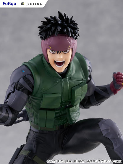 Furyu Spriggan Yu Ominae Figure 135mm Pre-Painted Non-Scale Amu-Tnl0094