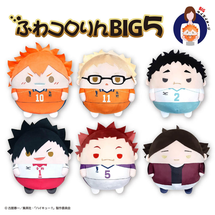 Max Limited HQ-96 Haikyu Fuwakororin Big 5 A Hinata Shoyo Plush Toy- Japan Figure Store - #1 Bring To You The Best Japanese Goods