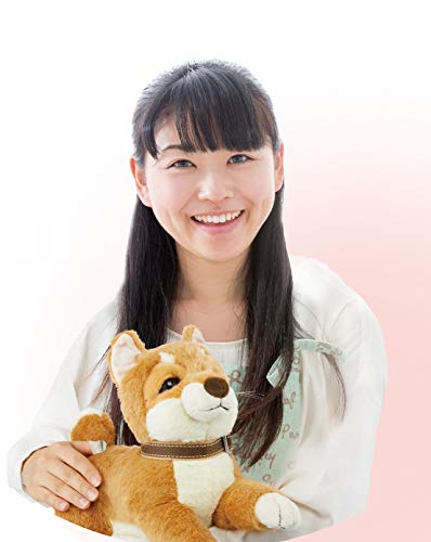 Iwaya Shiba Inu Interactive Talking Pet with Touch Sensor for Relaxation- Japan Figure Store - #1 Bring To You The Best Japanese Goods