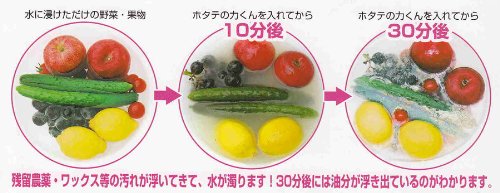 Japan Kampo Research Institute Sea Vegetable and Fruit Wash 90g Scallop Power- Japan Figure Store - #1 Bring To You The Best Japanese Goods
