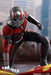 Hot Toys Movie Masterpiece Ant-Man and The Wasp 1/6 Scale Ant-Man Figure- Japan Figure Store - #1 Bring To You The Best Japanese Goods