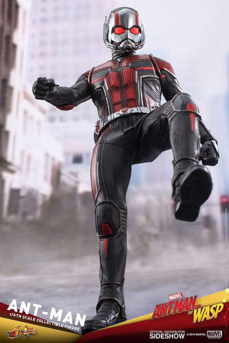 Hot Toys Movie Masterpiece Ant-Man and The Wasp 1/6 Scale Ant-Man Figure- Japan Figure Store - #1 Bring To You The Best Japanese Goods