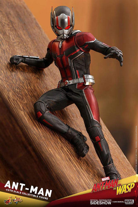 Hot Toys Movie Masterpiece Ant-Man and The Wasp 1/6 Scale Ant-Man Figure- Japan Figure Store - #1 Bring To You The Best Japanese Goods