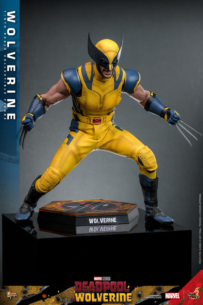 Hot Toys Movie Masterpiece Wolverine and Deadpool 1/6 Scale Figures